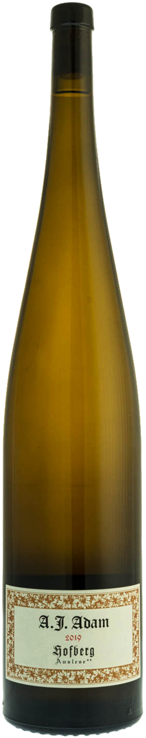 adam-a-j-weingut-riesling-hofberg-auslese-magnum-mosel-saar-ruwer-2019-150cl-moelleux-png
