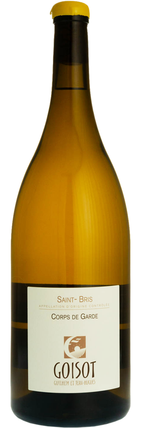 domaine-jean-hugues-et-guilhem-goisot-saint-bris-corps-de-garde-2013-magnum