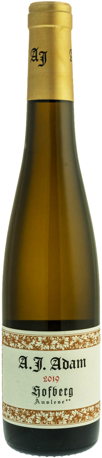 adam-a-j-weingut-riesling-hofberg-auslese-mosel-saar-ruwer-2019-37-5cl-moelleux-png