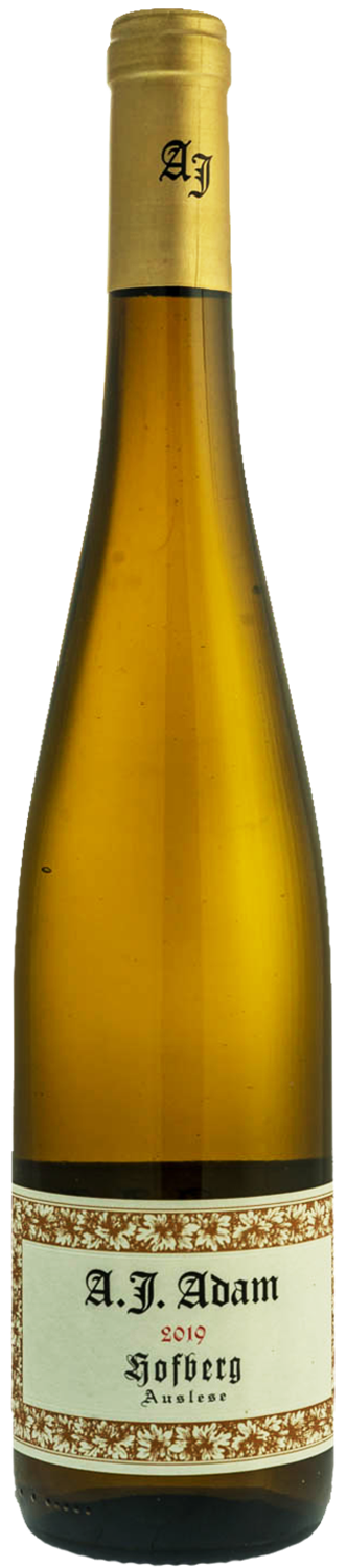 adam-a-j-weingut-riesling-hofberg-auslese-mosel-saar-ruwer-2019-75cl-moelleux-png