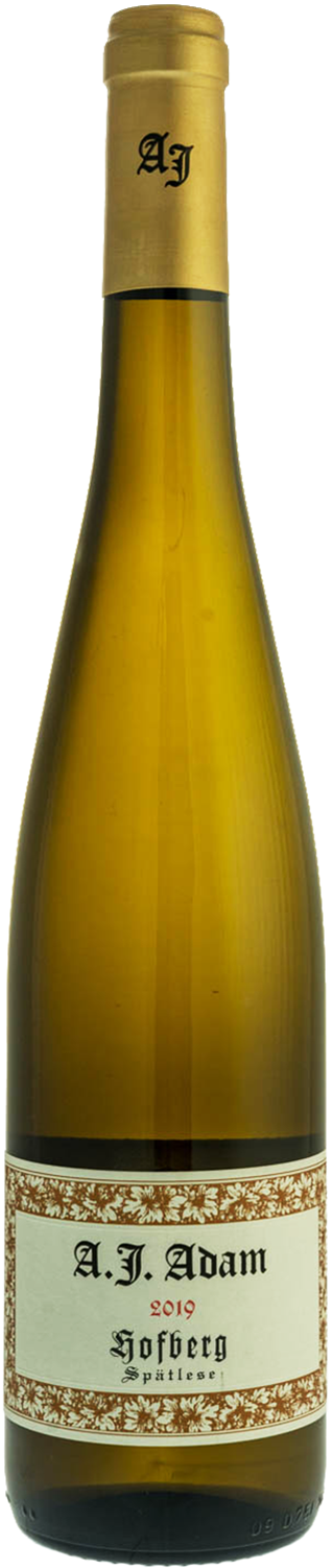 adam-a-j-weingut-riesling-hofberg-spatlese-mosel-saar-ruwer-2019-75cl-moelleux-png
