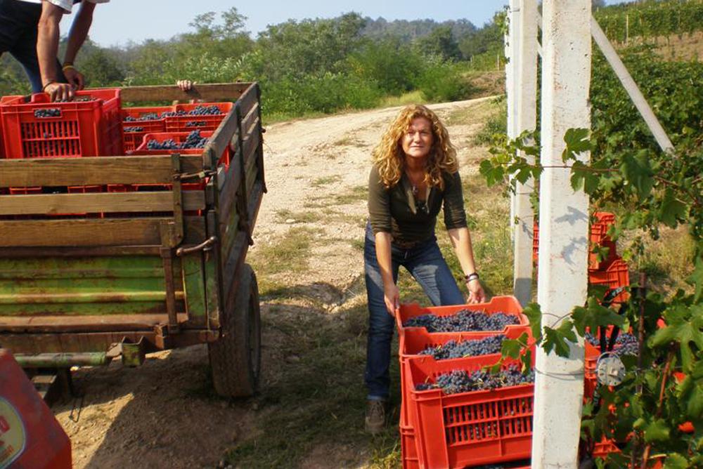 ANTONIOLO (Azienda vitivinicola)