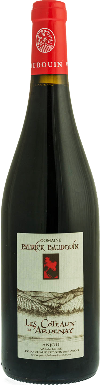 baudouin-dne-patrick-coteaux-dardenay-anjou-2016-75cl-rouge-png
