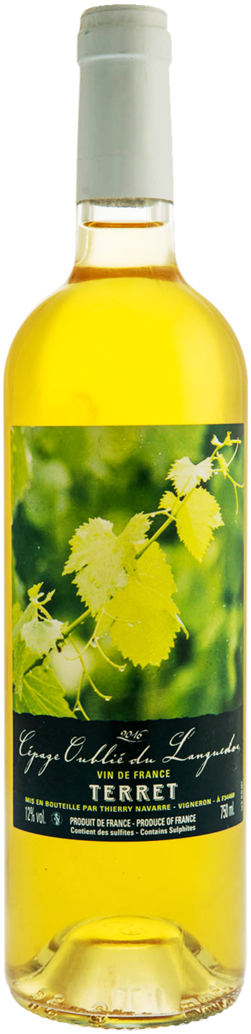 navarre-dne-thierry-terret-gris-vin-de-france-2016-75cl-blanc-png