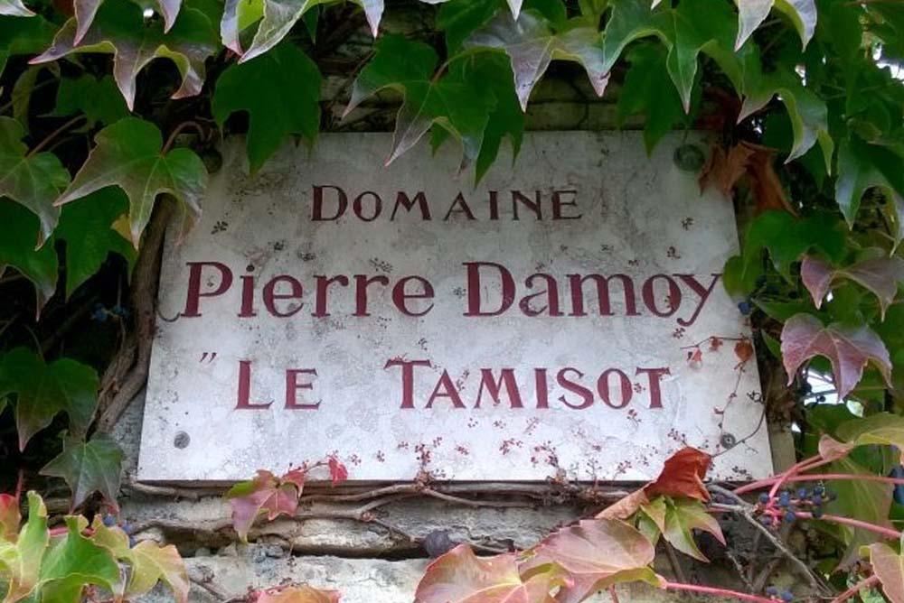 DAMOY Pierre