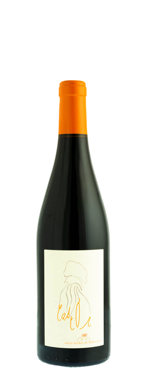domaine-de-belliviere-castor-cabernet-vin-de-france-rouge-2017