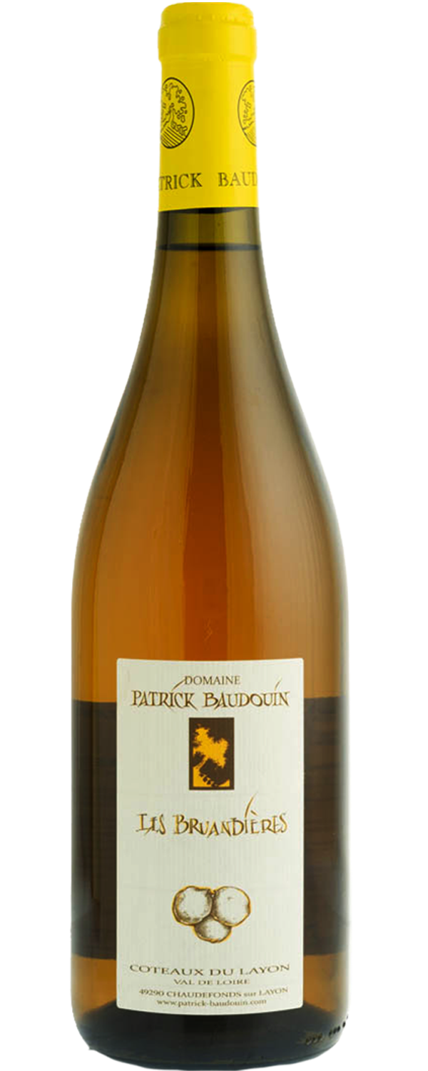 domaine-patrick-baudouin-les-bruandieres-coteaux-du-layon-2010