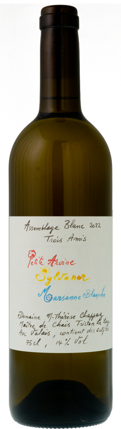 marie-therese-chappaz-assemblahe-blanc-2022-png
