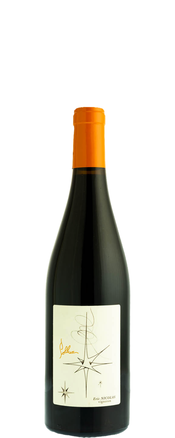 domaine-de-belliviere-pollux-vin-de-france-rouge-2017-png