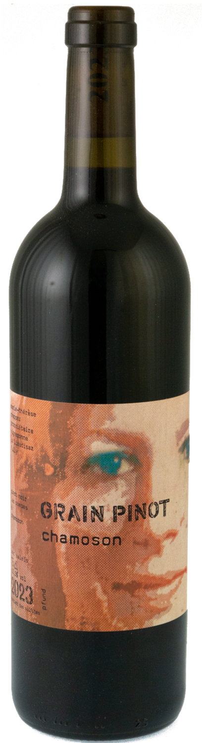 marie-therese-chappaz-grain-pinot-chamoson-2023-png