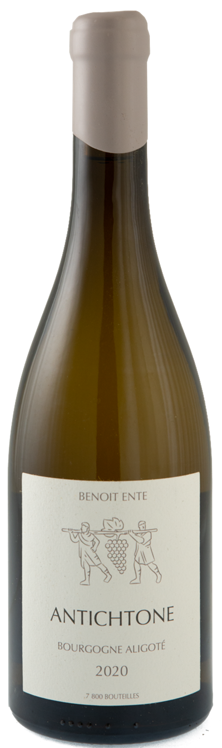 benoit-ente-bourgogne-aligote-antichtone-2020-png