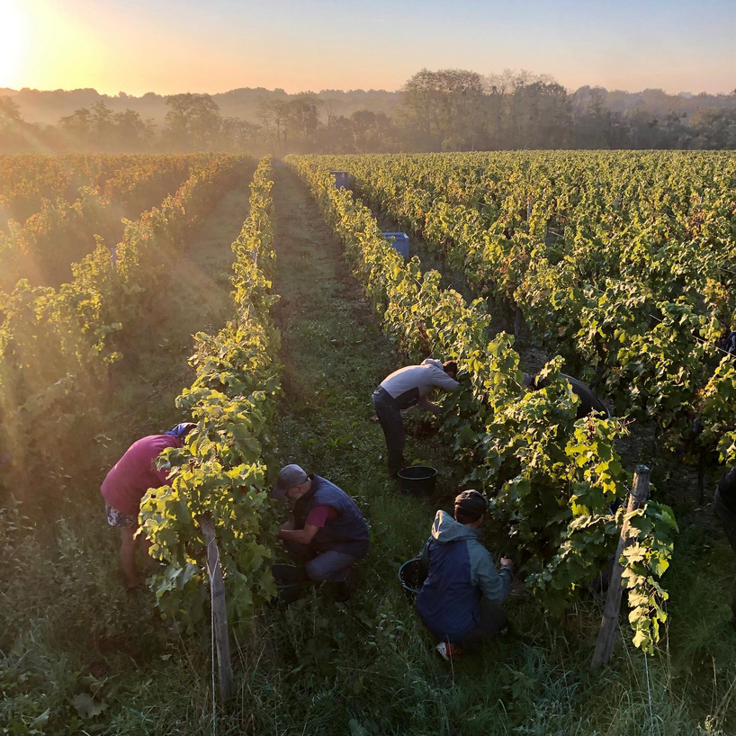 DOMAINE DES GROUAS