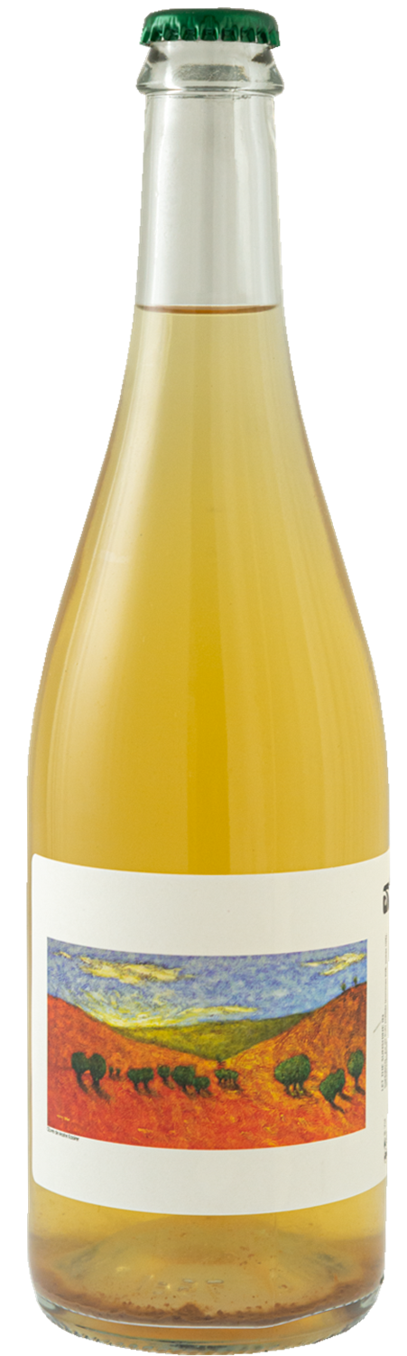 brasserie-mosaique-cidre-let-the-sunshine-in-png