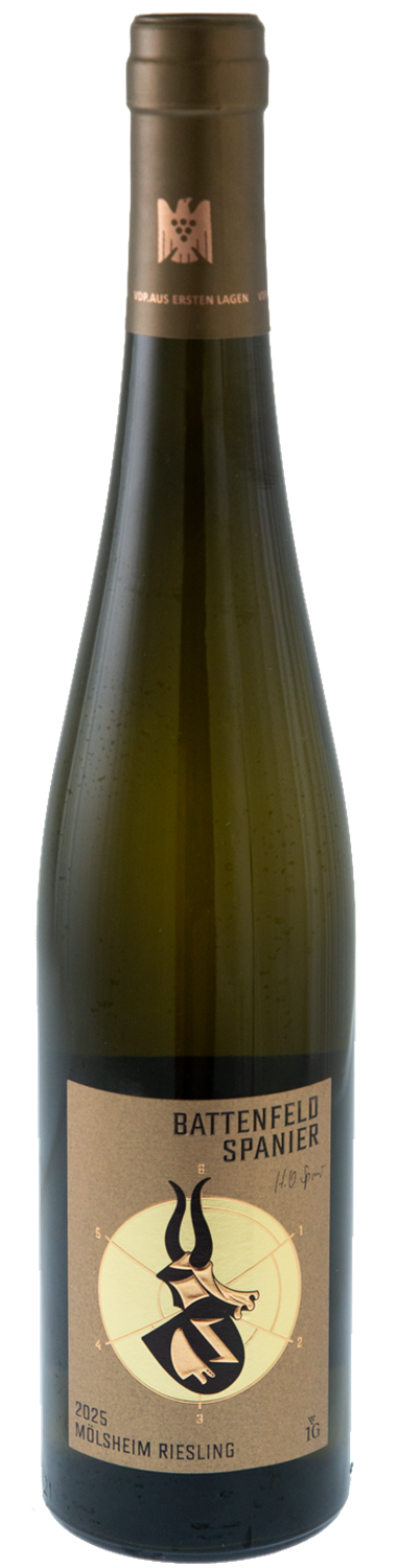 RIESLING MOLSHEIM ERSTE LAGE